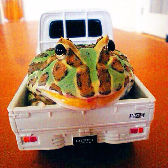 HappyRoseさんの実例写真