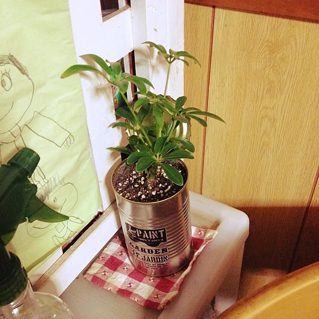 リビング/植物/セリア/リメ缶のインテリア実例 - 2016-05-24 22:16:09