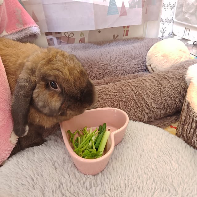 mariaさんの実例写真