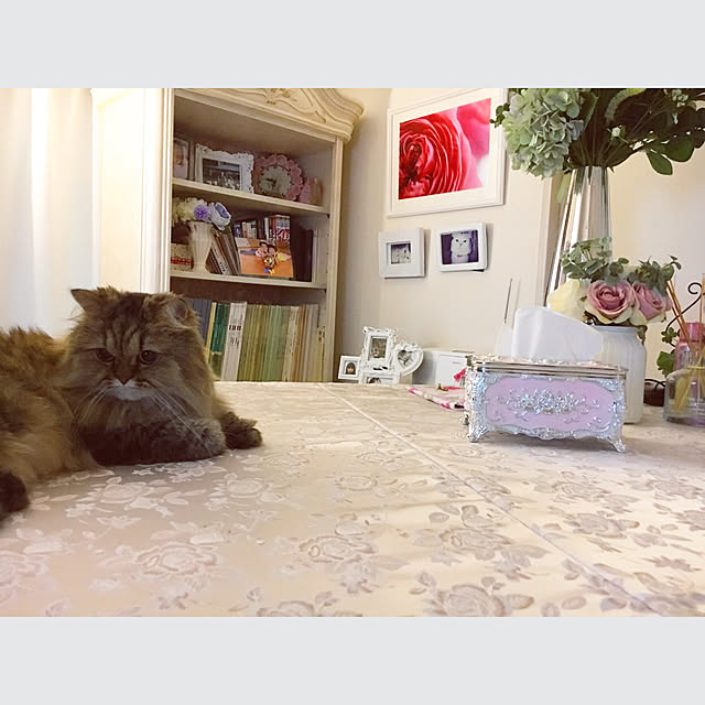 musicsukiさんの実例写真