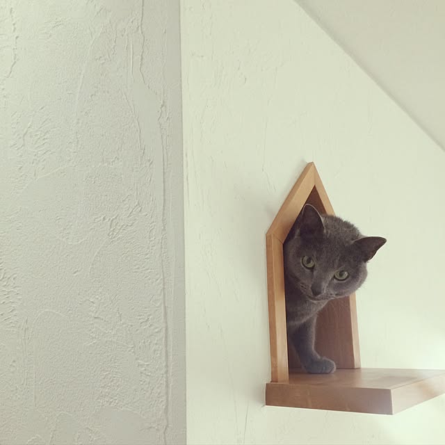 apiさんの実例写真