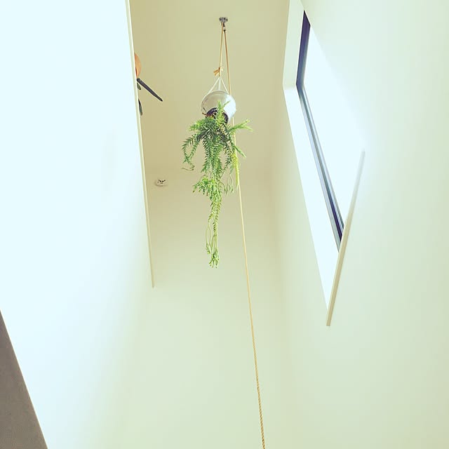KXYXTさんの実例写真