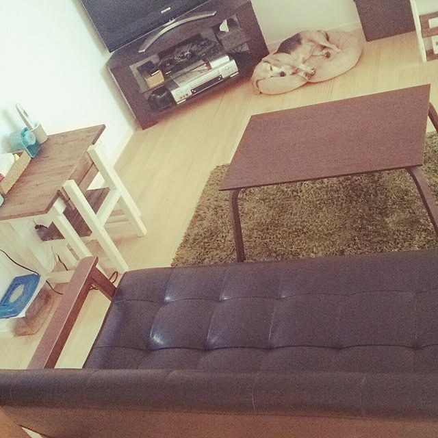 Hiromiさんの実例写真