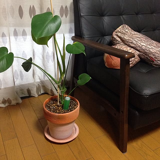newさんの実例写真
