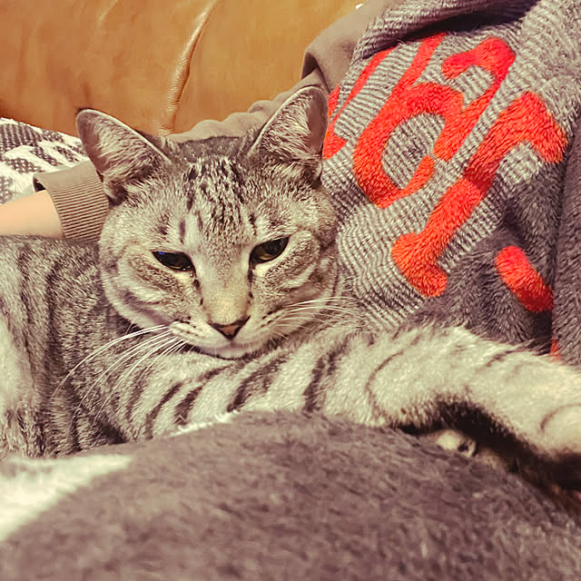 su-puriさんの実例写真