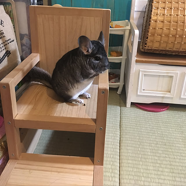 bambiさんの実例写真