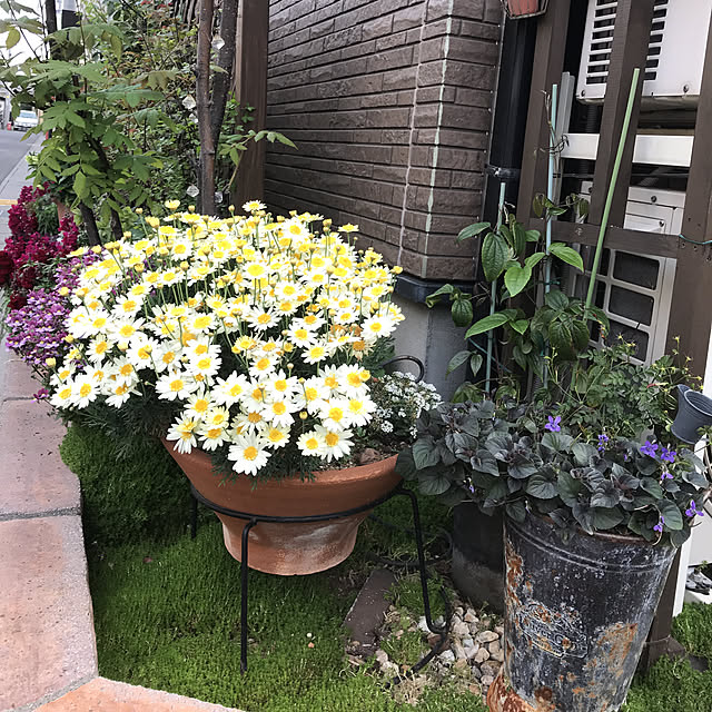 gin_mamaさんの実例写真