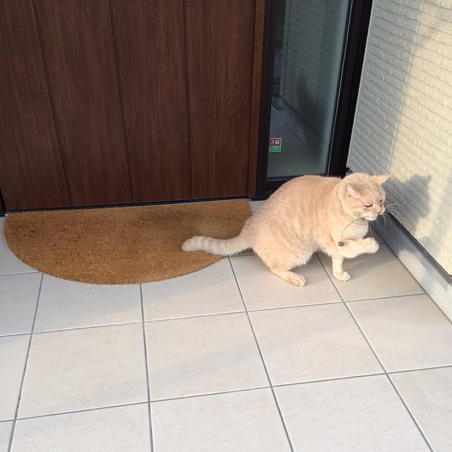 makimomongaさんの実例写真