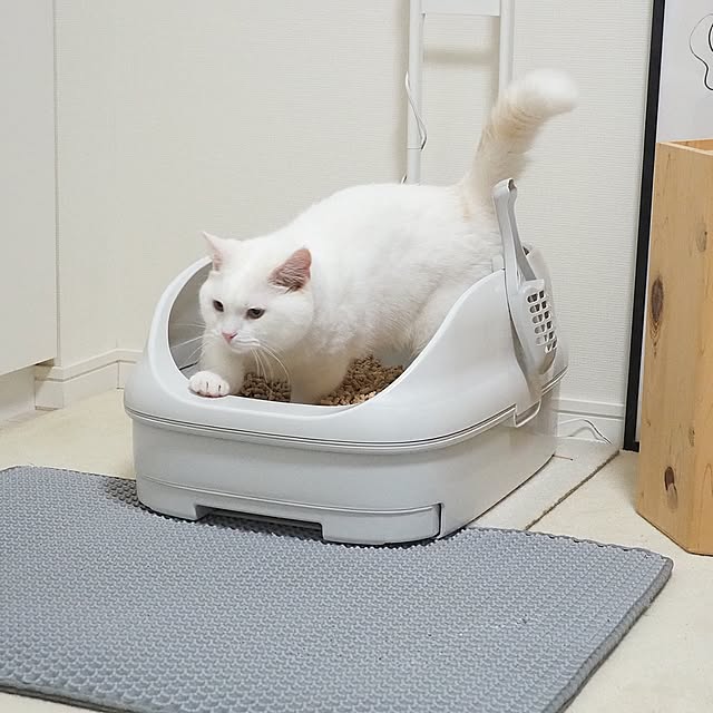 tomatoさんの部屋