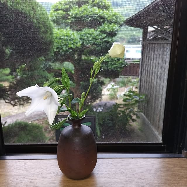 kuririnmamaさんの部屋