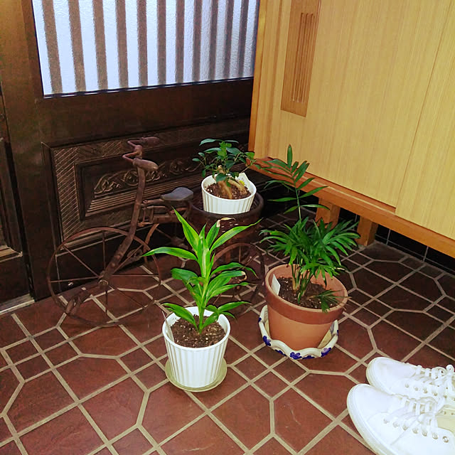 emibutaさんの実例写真