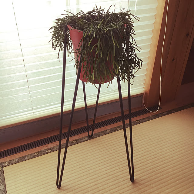 ToNaさんの実例写真