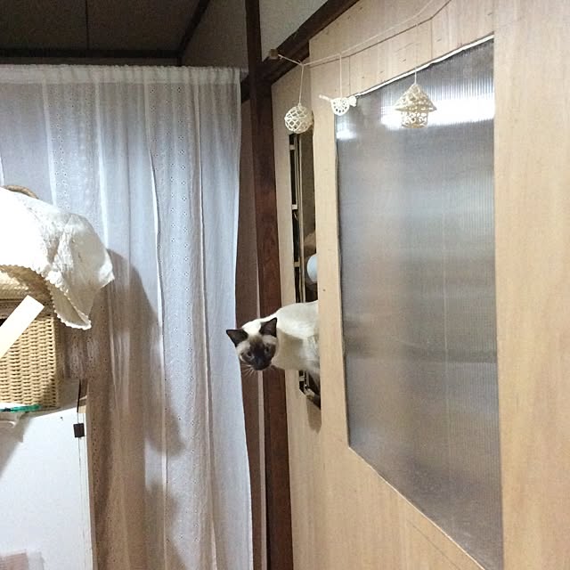 chadoさんの実例写真
