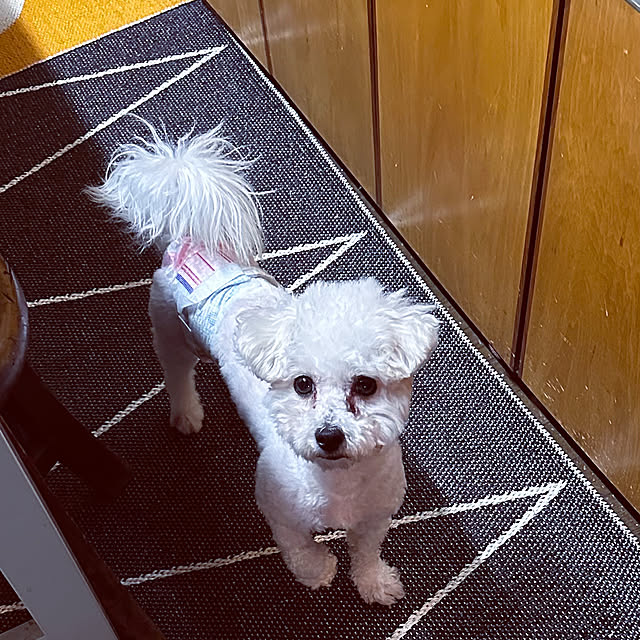 chacoさんの部屋