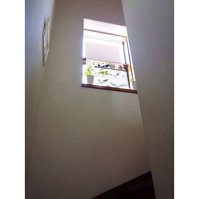 mooさんの実例写真