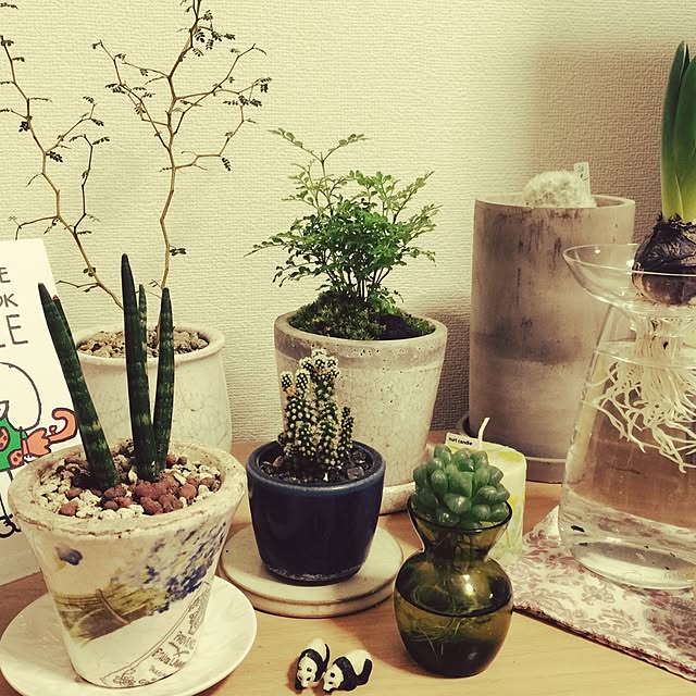 haruさんの実例写真