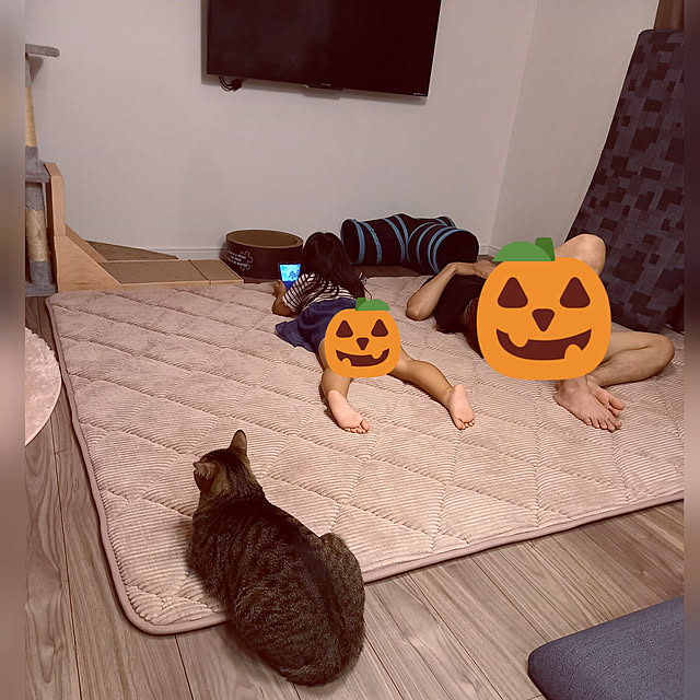p-p-maruさんの実例写真