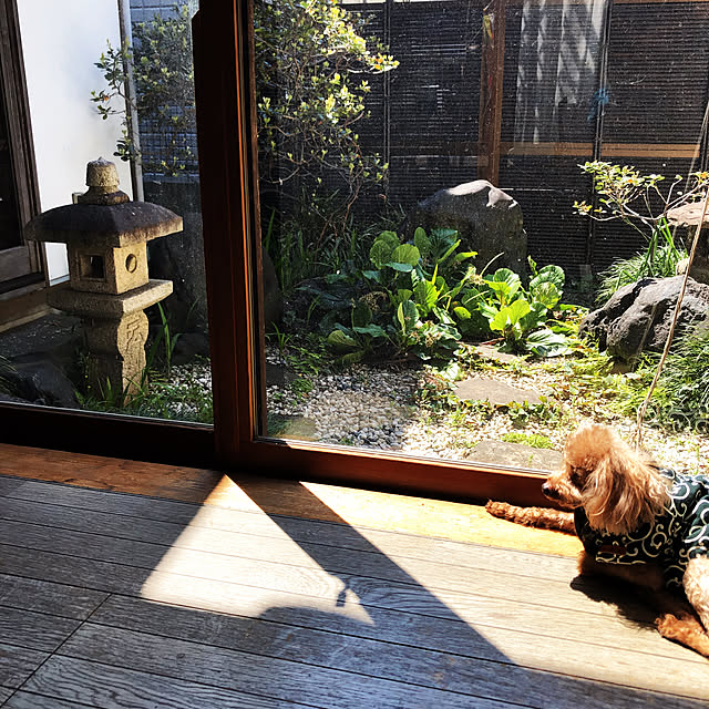 chacoさんの実例写真