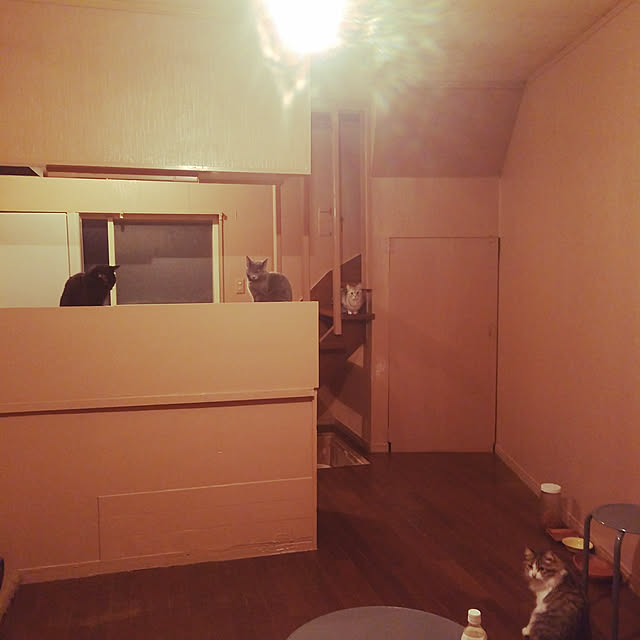 yukitadaさんの実例写真