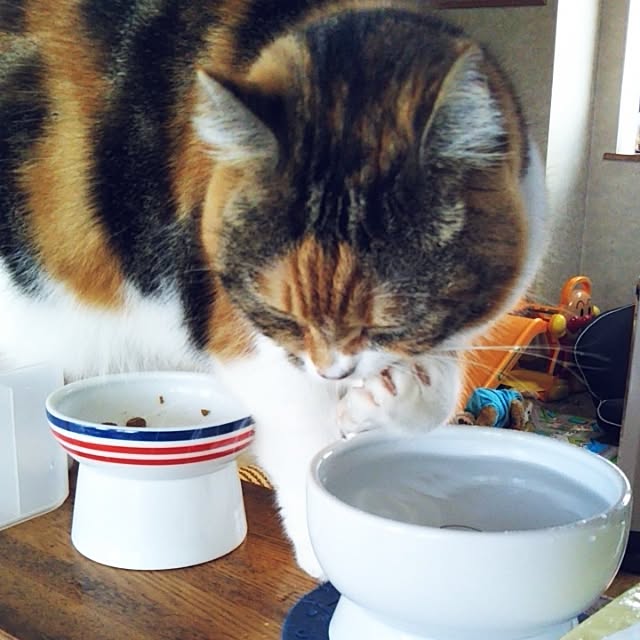 yukieさんの実例写真