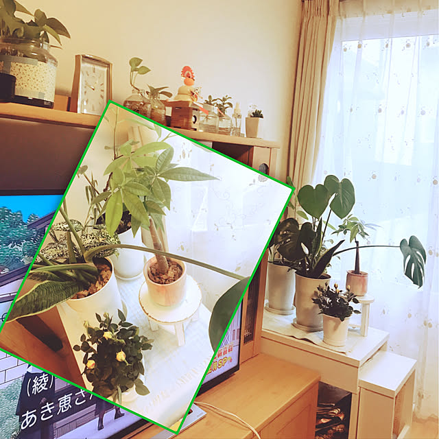 rizumu4649さんの実例写真
