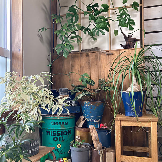 haruさんの実例写真