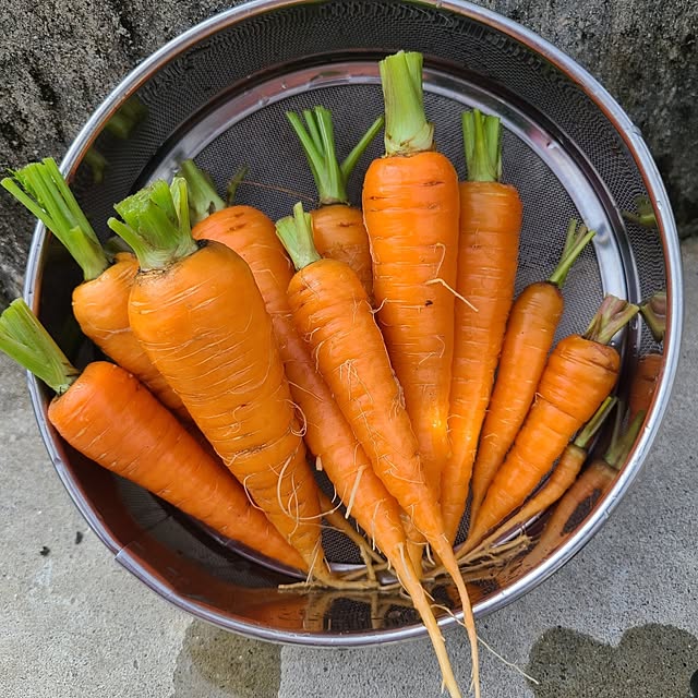 Rubiconさんの実例写真