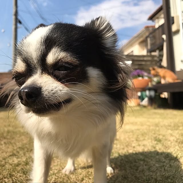 tomoさんの実例写真