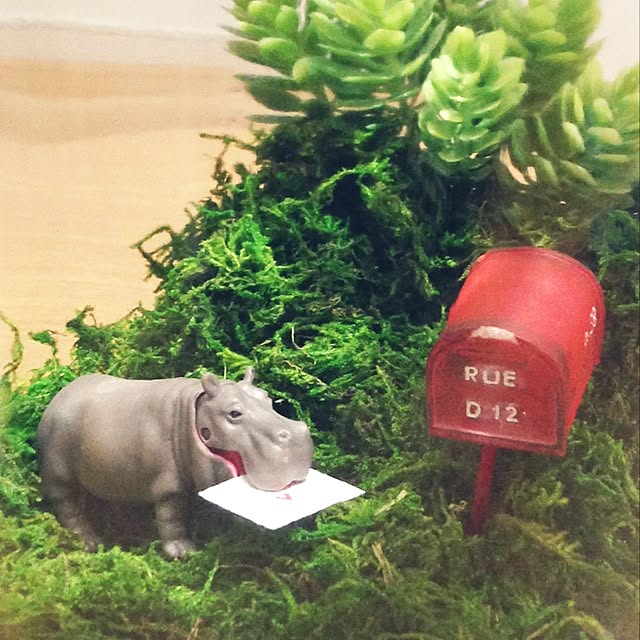Erinさんの実例写真