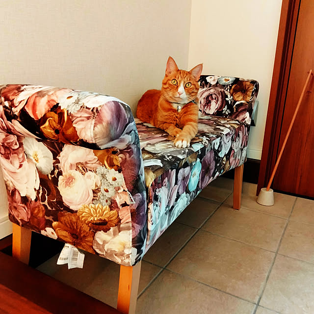 sorakoさんの実例写真