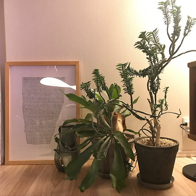 KTHRさんの実例写真