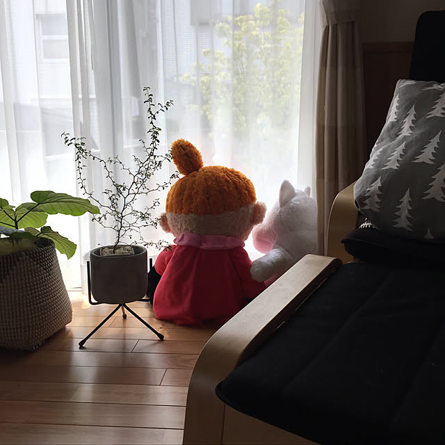 sorasoraさんの実例写真