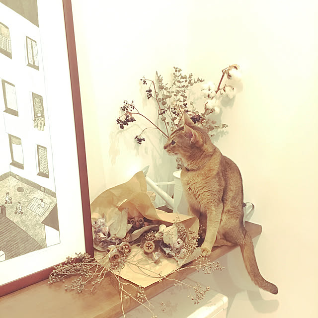 sakineko528さんの実例写真