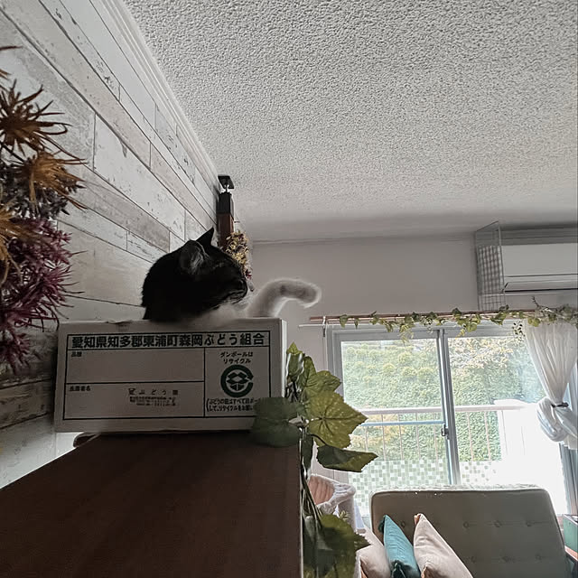 sumoanzuさんの実例写真