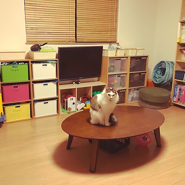 megu_mamaさんの実例写真