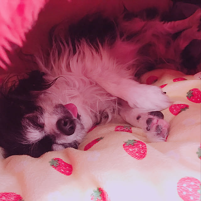 mikanさんの実例写真