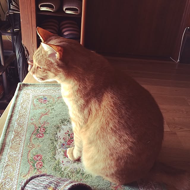 yukiさんの実例写真