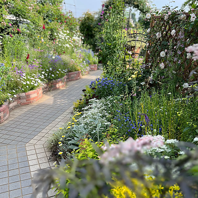Royal_Gardeners_Clubさんの部屋