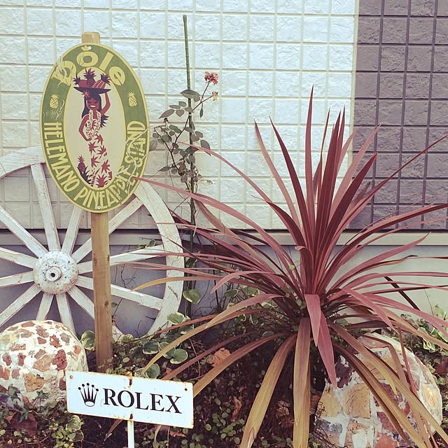 Ryoさんの実例写真