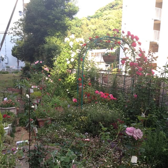 実例写真