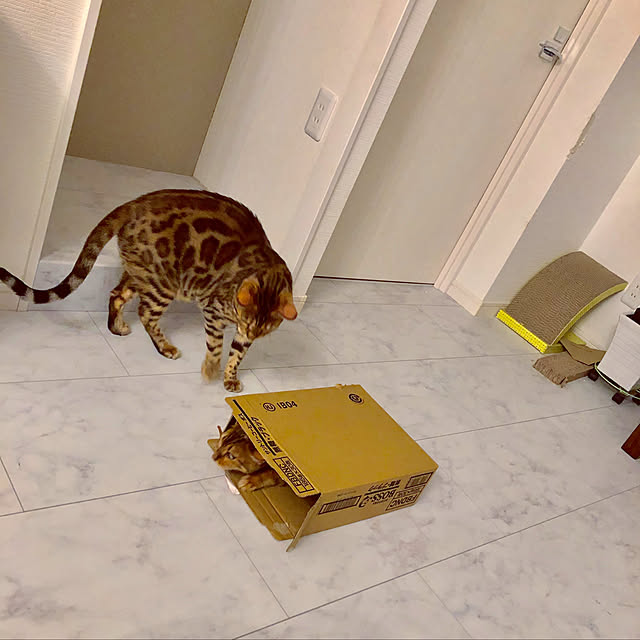 iranさんの実例写真