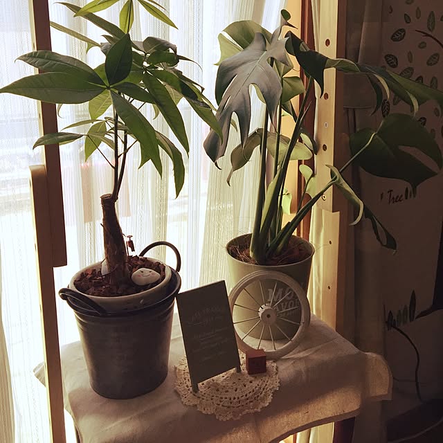 chiekawa63さんの実例写真