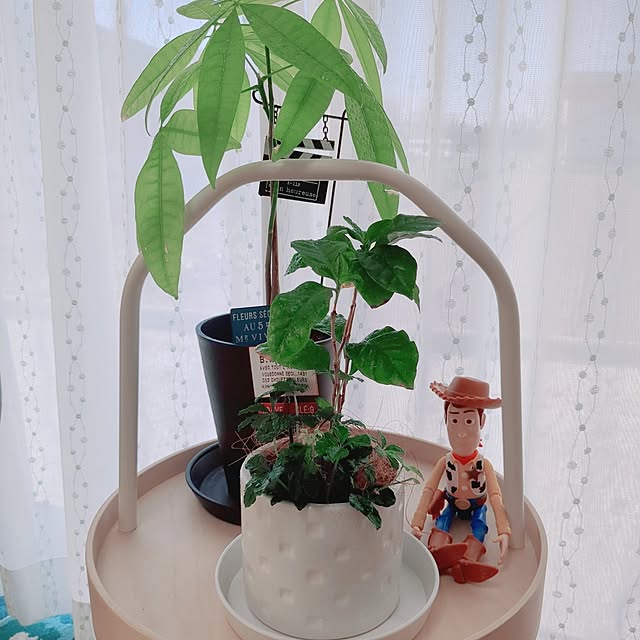 ryouさんの部屋