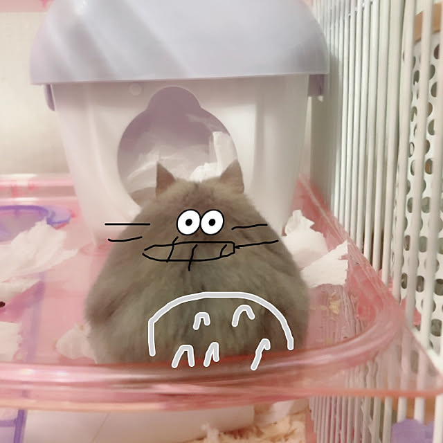 milkさんの実例写真
