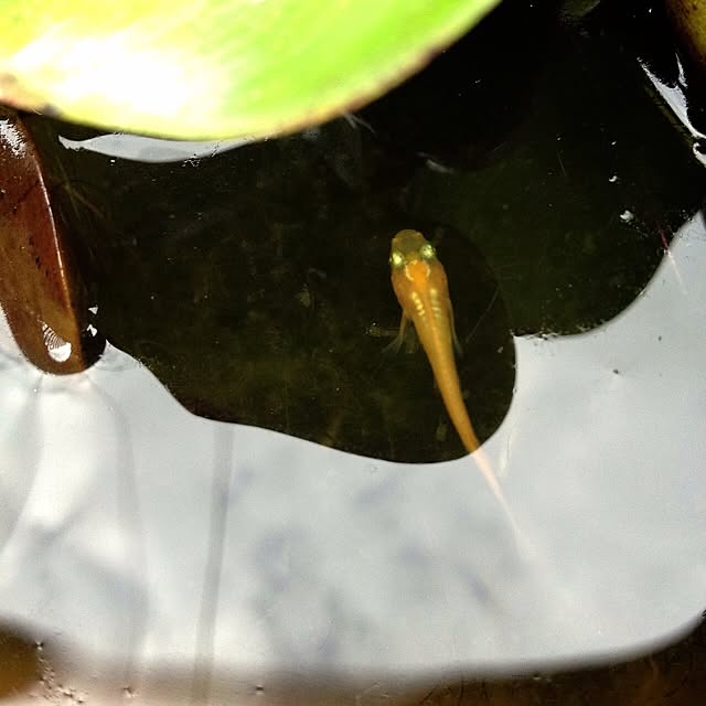 L.さんの実例写真