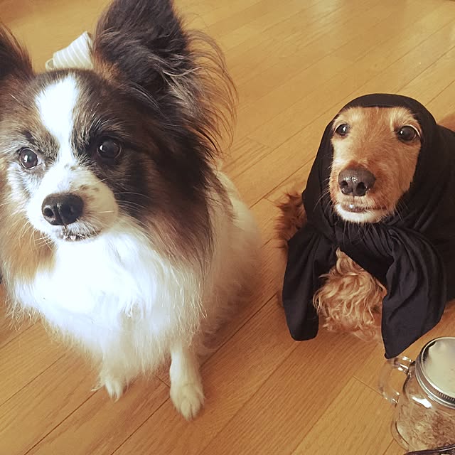 hi-tanさんの実例写真