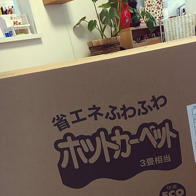 masamasaさんの実例写真