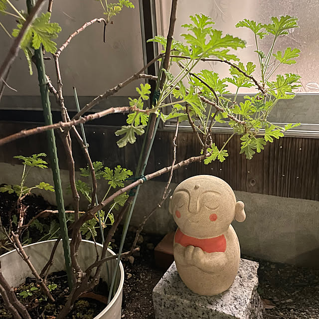 shin0719さんの部屋