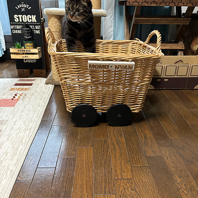 momocchiさんの部屋