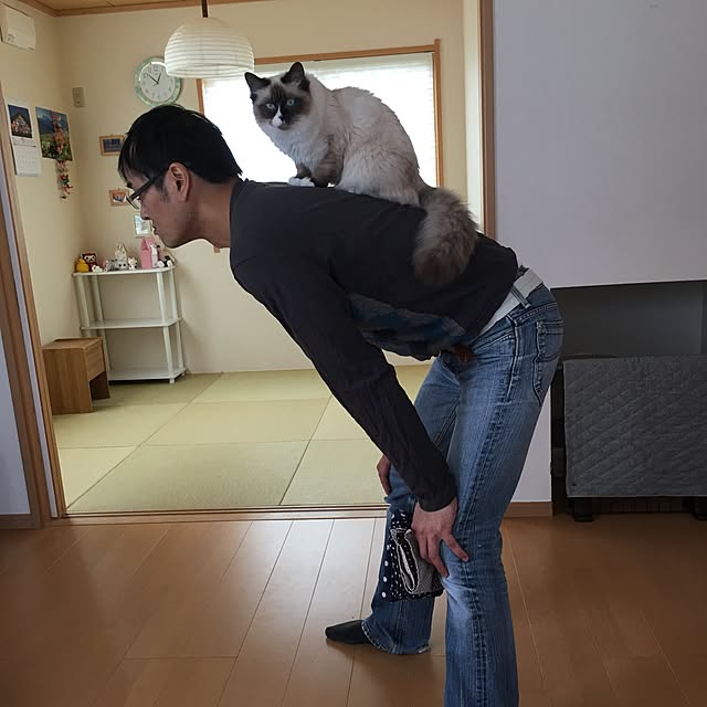 実例写真